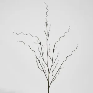 Curly Twig by Florabelle Living, a Plants for sale on Style Sourcebook