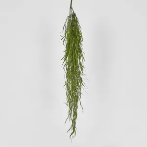 Hanging Grass Vine by Florabelle Living, a Plants for sale on Style Sourcebook