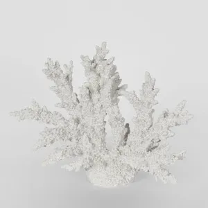 Delmar White Coral 34X13X27CM by Florabelle Living, a Statues & Ornaments for sale on Style Sourcebook