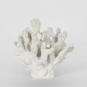 Bay White Coral 19X18X17CM by Florabelle Living, a Statues & Ornaments for sale on Style Sourcebook
