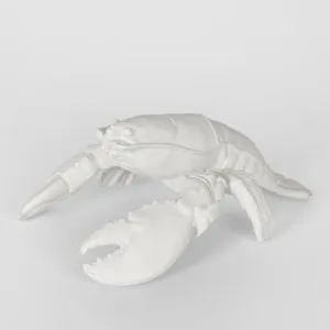 Larry White Lobster by Florabelle Living, a Statues & Ornaments for sale on Style Sourcebook