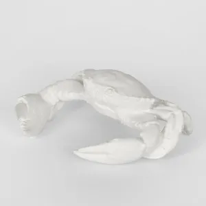 Claude White Crab by Florabelle Living, a Statues & Ornaments for sale on Style Sourcebook