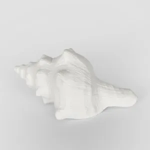 Seb White Sea Snail 12.5X7X5CM by Florabelle Living, a Statues & Ornaments for sale on Style Sourcebook