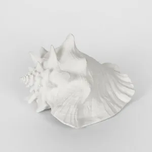 Sandy White Sea Snail 21X19X13CM by Florabelle Living, a Statues & Ornaments for sale on Style Sourcebook