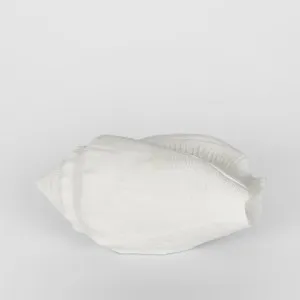 Shore White Sea Snail 20X11X9CM by Florabelle Living, a Statues & Ornaments for sale on Style Sourcebook