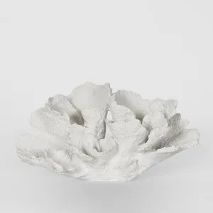 Laguna White Coral 26.5X14.5X13.5CM by Florabelle Living, a Statues & Ornaments for sale on Style Sourcebook