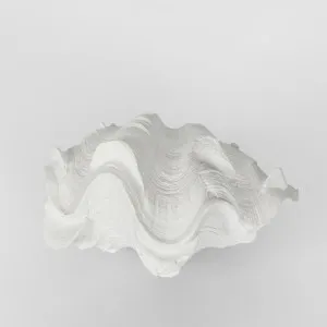 Santi White Sea Snail 14X7X10CM by Florabelle Living, a Statues & Ornaments for sale on Style Sourcebook