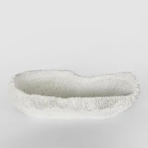 Haven White Coral Bowl 36X18X9CM by Florabelle Living, a Statues & Ornaments for sale on Style Sourcebook