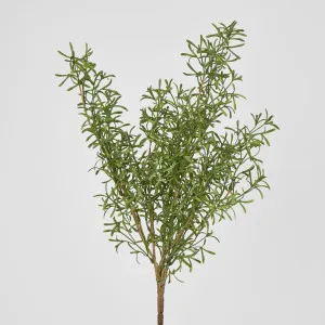 Rosemary Spray by Florabelle Living, a Plants for sale on Style Sourcebook