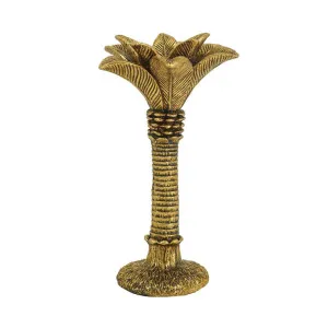 Coconut Palm Candle Holder LGE by Florabelle Living, a Lanterns for sale on Style Sourcebook