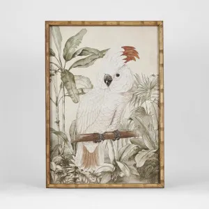 Jungle Cockatoo Wall Art C by Florabelle Living, a Prints for sale on Style Sourcebook