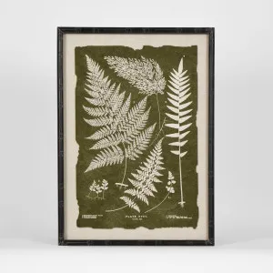 Moss Leaf Wall Art A by Florabelle Living, a Prints for sale on Style Sourcebook