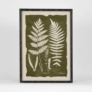 Moss Leaf Wall Art B by Florabelle Living, a Prints for sale on Style Sourcebook
