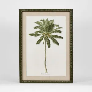 Apia Palms Wall Art A by Florabelle Living, a Prints for sale on Style Sourcebook