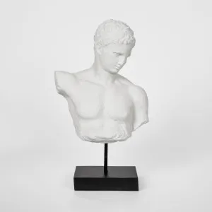 Grecian Polyresin Male Bust by Florabelle Living, a Statues & Ornaments for sale on Style Sourcebook