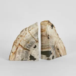 Cinagara Petrified Wood Bookends Set by Florabelle Living, a Statues & Ornaments for sale on Style Sourcebook