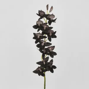 Real Touch Cycnoches Orchid Stem 84cm by Florabelle Living, a Plants for sale on Style Sourcebook
