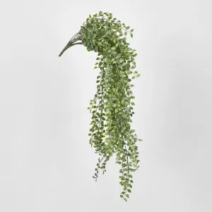 Hanging Boxwood Bush by Florabelle Living, a Plants for sale on Style Sourcebook