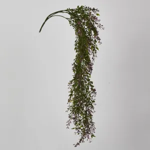 Boxwood Hanging Vine x 5 with Purple Berries by Florabelle Living, a Plants for sale on Style Sourcebook