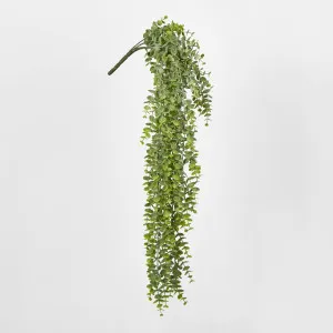 Green Eucalyptus Hanging Bush x 6 by Florabelle Living, a Plants for sale on Style Sourcebook