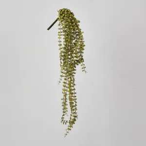 56cm Button Fern Vine x 8 Pellaea rotundifolia by Florabelle Living, a Christmas for sale on Style Sourcebook
