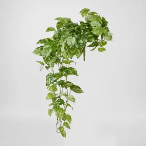 Real Touch Pothos hanging Bush x 12 by Florabelle Living, a Plants for sale on Style Sourcebook