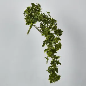 Real Touch Hanging Verigated Sage Ivy Bush x 12 by Florabelle Living, a Plants for sale on Style Sourcebook