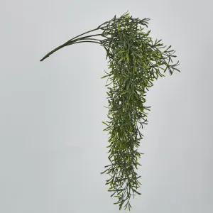 66cm Green Springeri Hanging Vine x5 by Florabelle Living, a Plants for sale on Style Sourcebook