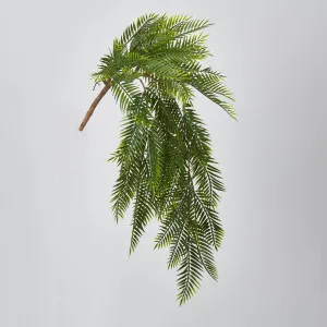 Hanging Pitch Pine Bush by Florabelle Living, a Plants for sale on Style Sourcebook