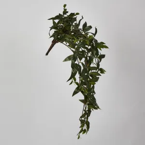 Japanese Bamboo Green Hanging Bush x 12 with 262 leaves by Florabelle Living, a Plants for sale on Style Sourcebook