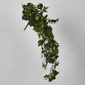 Hanging Green Grape Ivy x12 699 leaves by Florabelle Living, a Plants for sale on Style Sourcebook