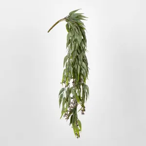 Hanging Eucalyptus Bush with seeds by Florabelle Living, a Plants for sale on Style Sourcebook