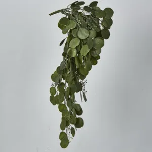 Hanging Green Eucalyptus Leaf Bush by Florabelle Living, a Plants for sale on Style Sourcebook