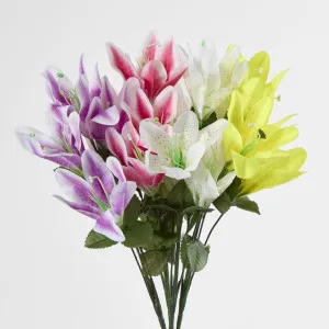 Tiger lily Bush Sold in Box Qty Only by Florabelle Living, a Plants for sale on Style Sourcebook