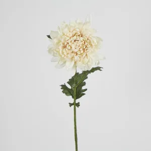 76cm Chrysanthemum by Florabelle Living, a Plants for sale on Style Sourcebook