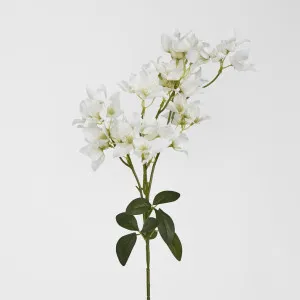 83cm White Bougainvillea Branch 83cm by Florabelle Living, a Plants for sale on Style Sourcebook