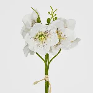 White Christmas Rose Bouquet 31cm by Florabelle Living, a Plants for sale on Style Sourcebook