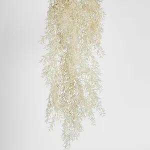 Beige Floating Fern Bush by Florabelle Living, a Plants for sale on Style Sourcebook