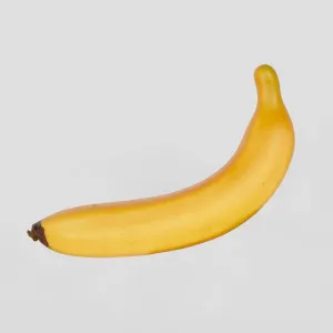 Banana by Florabelle Living, a Plants for sale on Style Sourcebook