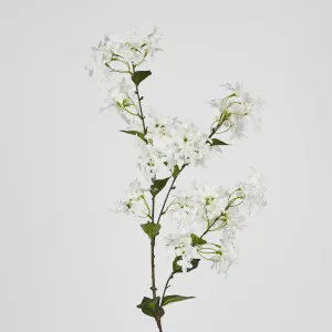 Blossom Spray 98cm White by Florabelle Living, a Plants for sale on Style Sourcebook