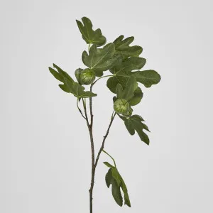 Fig Stem With Fruits 81cm by Florabelle Living, a Plants for sale on Style Sourcebook