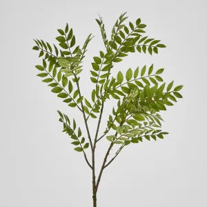 Sorbus Leaf Spray 108cm by Florabelle Living, a Plants for sale on Style Sourcebook