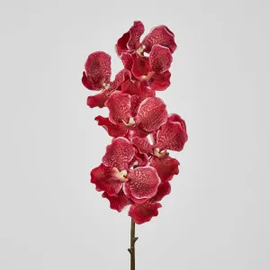 Real Touch Orchid 78cm Fuschia by Florabelle Living, a Plants for sale on Style Sourcebook
