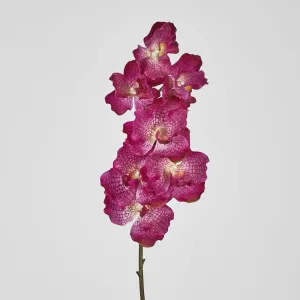 Real Touch Orchid 78cm Purple by Florabelle Living, a Plants for sale on Style Sourcebook