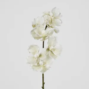 Real Touch Orchid 78cm White by Florabelle Living, a Plants for sale on Style Sourcebook