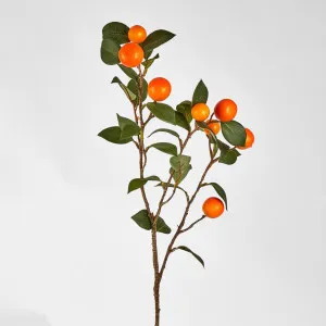 Mandarin Stem With Fruits 78cm by Florabelle Living, a Plants for sale on Style Sourcebook