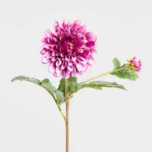 Soft Touch Tulip Stem Light Pink by Florabelle Living, a Plants for sale on Style Sourcebook