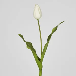 Soft Touch Tulip Stem White by Florabelle Living, a Plants for sale on Style Sourcebook