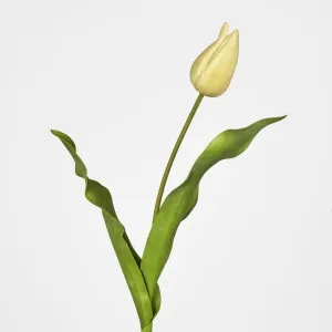 Soft Touch Tulip Stem Yellow by Florabelle Living, a Plants for sale on Style Sourcebook
