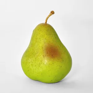 Pear by Florabelle Living, a Plants for sale on Style Sourcebook